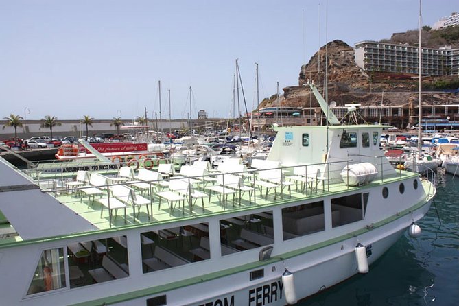 2-Hour Dolphin and Whale Watching in Gran Canaria - Sea-Sickness Reality Check: Bring Your Motion-Health Plan