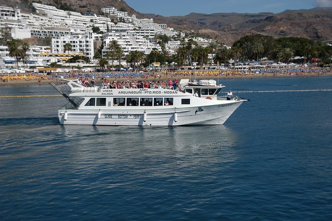 2-Hour Dolphin and Whale Watching in Gran Canaria - The Onboard Bar: Drinks You Can Buy, Not Included