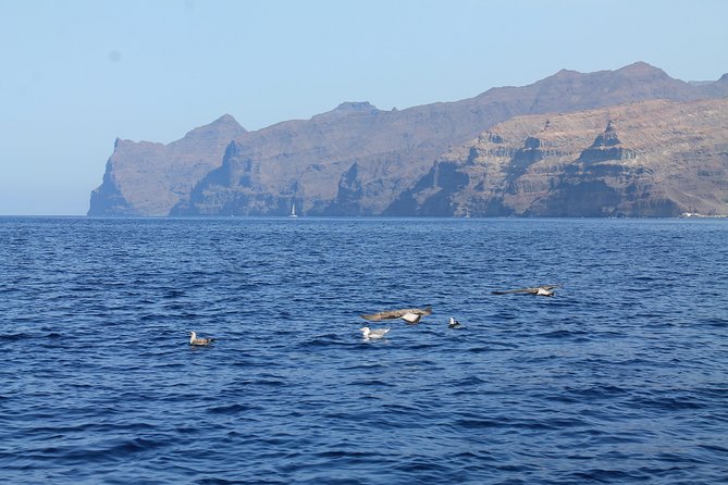 3h Boat Trip + Snorkeling in Puerto de Mogan - Who should book this, and who should think twice