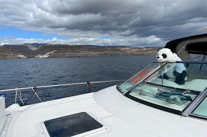 4 Hour Boat Tour with Snorkeling from Puerto Rico and Mogan - Onboard Experience: Limited Numbers, Friendly Crew, and a Calm Pace
