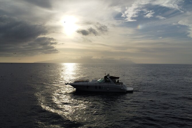 4 Hour Boat Tour with Snorkeling from Puerto Rico and Mogan - Lunch, Drinks, and the Canarian Flavors You’ll Get