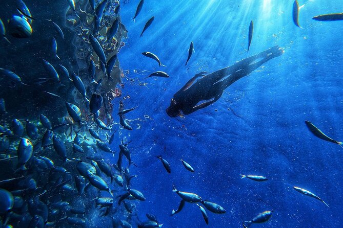 Afrikat Afternoon Cruise - Gran Canaria at 2:30 pm: what makes this cruise feel special