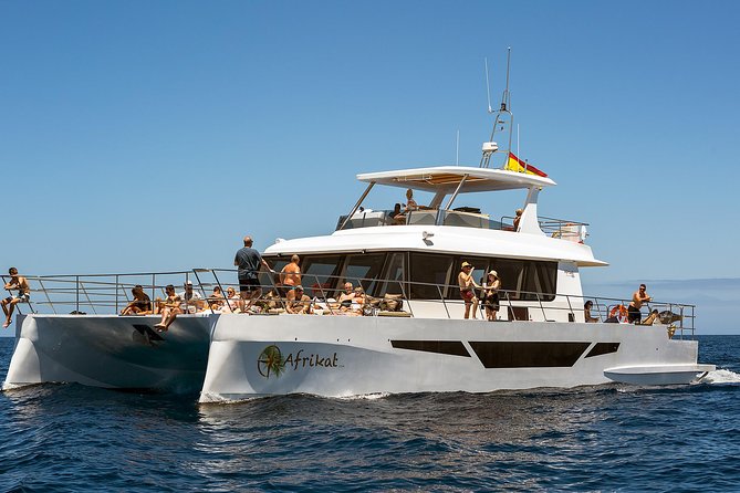 Afrikat Afternoon Cruise - Value at $93.16: what you actually get for the money
