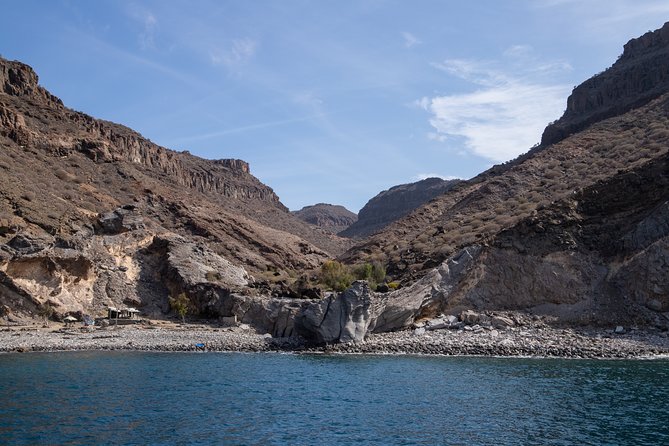 Afrikat Morning Cruise - Lunch on the water: simple, included, and adjustable if you plan