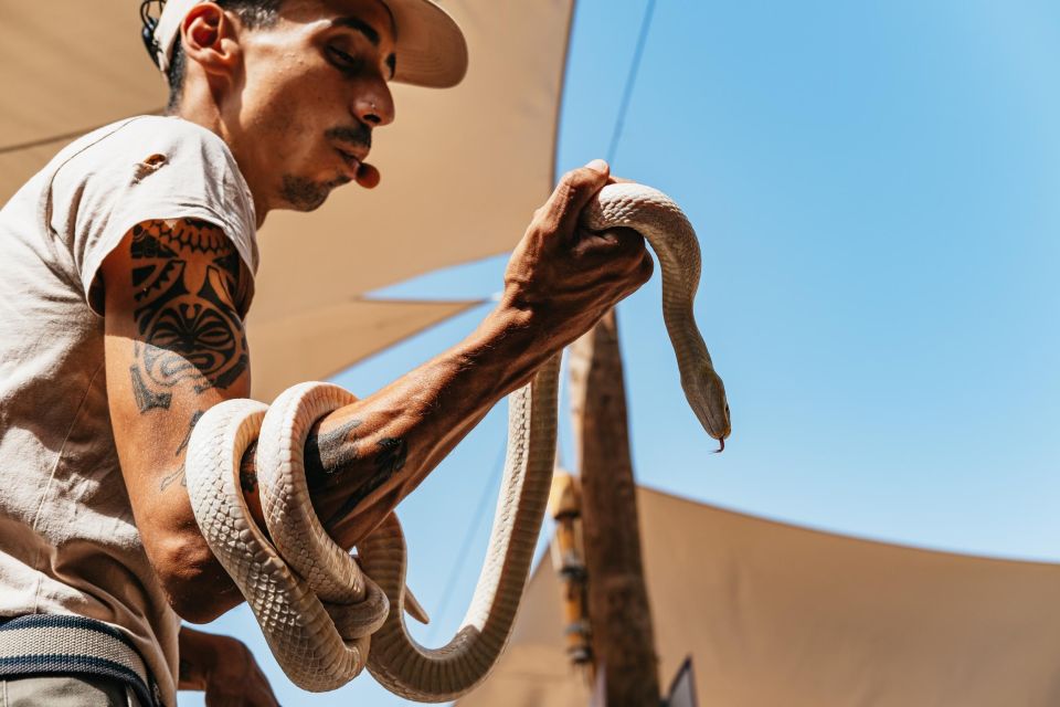 Agüimes: Cocodrilo Park Zoo Entry Ticket - Key things to know before you go