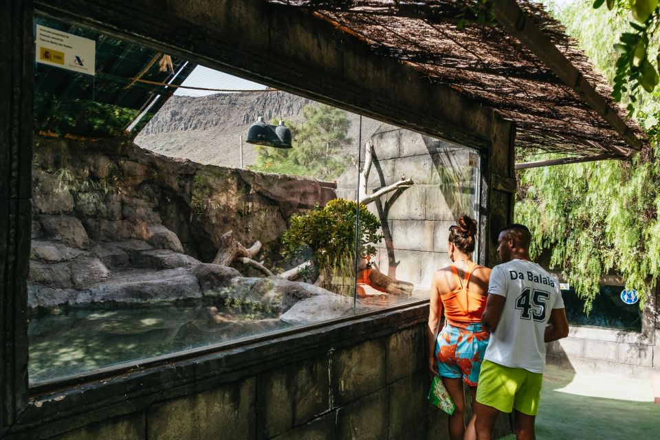 Agüimes: Cocodrilo Park Zoo Entry Ticket - Shows, talks, and feeding demonstrations: how to plan your time