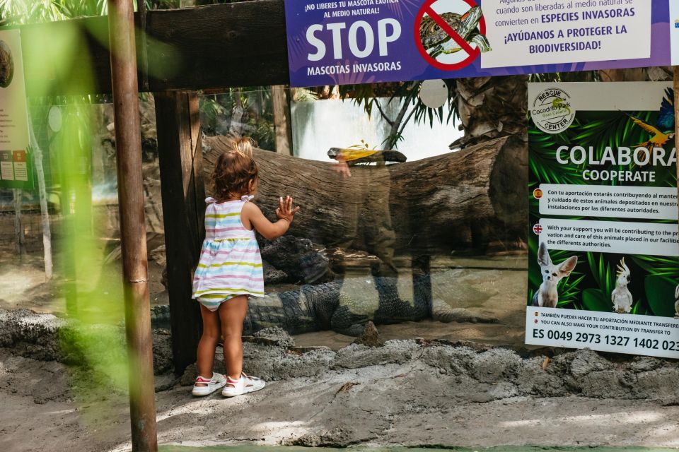 Agüimes: Cocodrilo Park Zoo Entry Ticket - How long to stay: 2–3 hours is the sweet spot