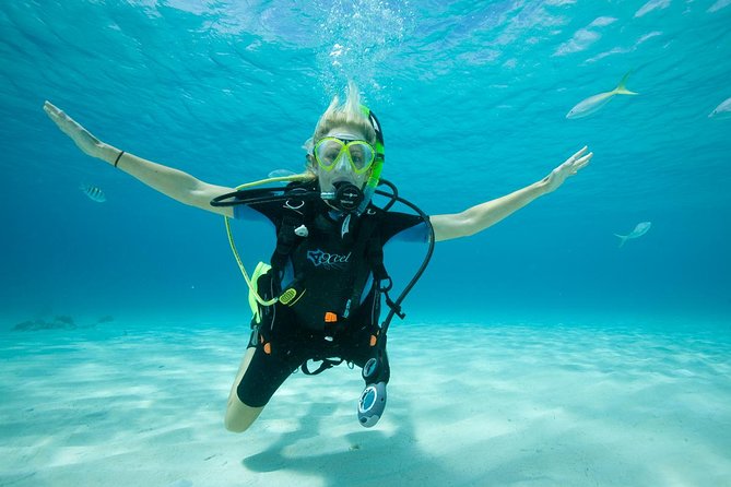 Beginners Scuba Diving Experience in Gran Canaria - The 2-hour flow: from paperwork to reef time