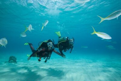 Beginners Scuba Diving Experience in Gran Canaria - Price and what you get for $108.89