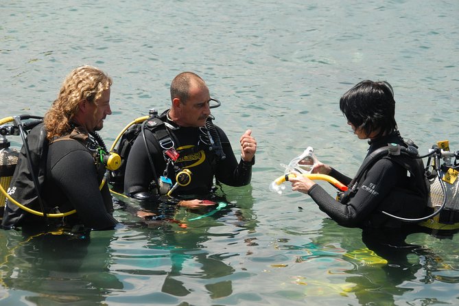 Beginners Scuba Diving Experience in Gran Canaria - What you’ll see around the reef (and why it matters)