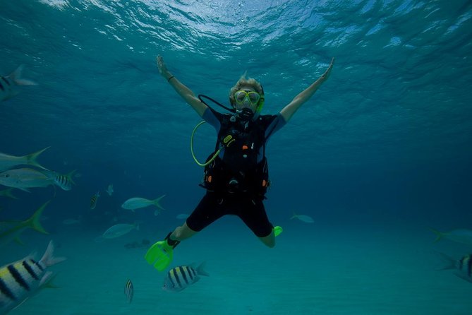 Beginners Scuba Diving Experience in Gran Canaria - Logistics in Gran Canaria: meeting point, no pickup, and timing reality