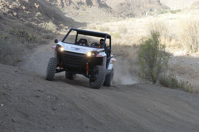 Buggy Tour Gran Canaria - 800cc buggy prep: licenses, training, and what “safe” really means