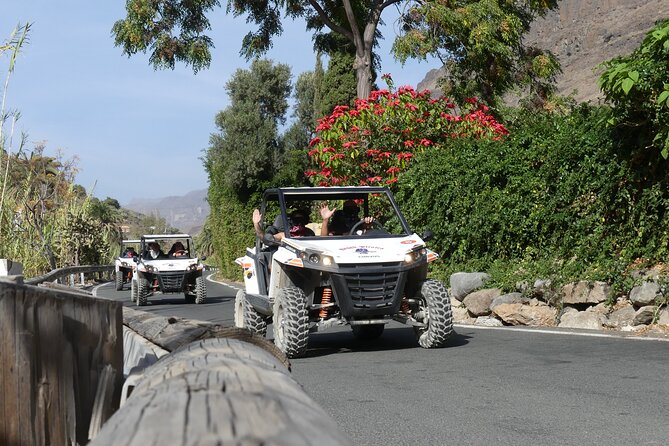 Buggy Tour Gran Canaria - Price and value: is $90.70 a good deal?