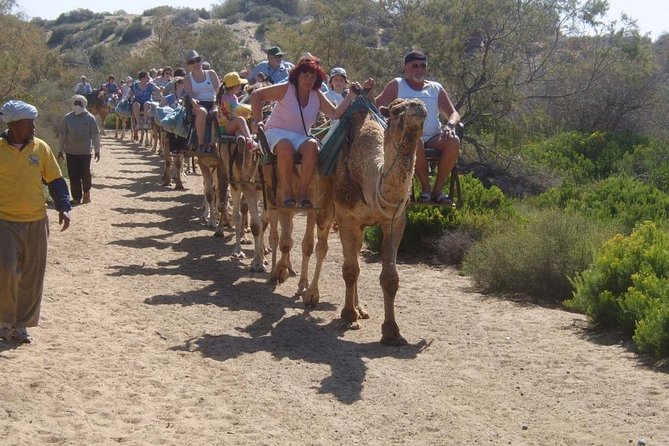 Camel Riding in Maspalomas Dunes - Price and Value: What $21.63 Includes (and What It Doesn’t)