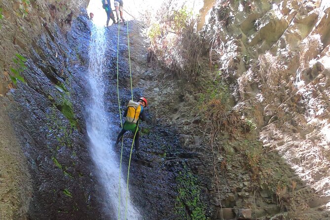 Canyoning Experience in Gran Canaria (Cernícalos canyon) - Price and value for a 4-hour guided adventure