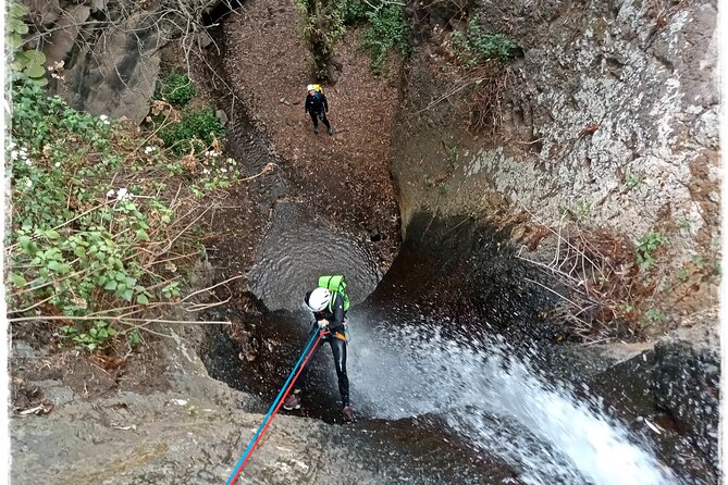 Canyoning in Gran Canaria: The Hidden Waterfalls and Magic Pools - Why This Feels Authentic: Remote Rainforest Access