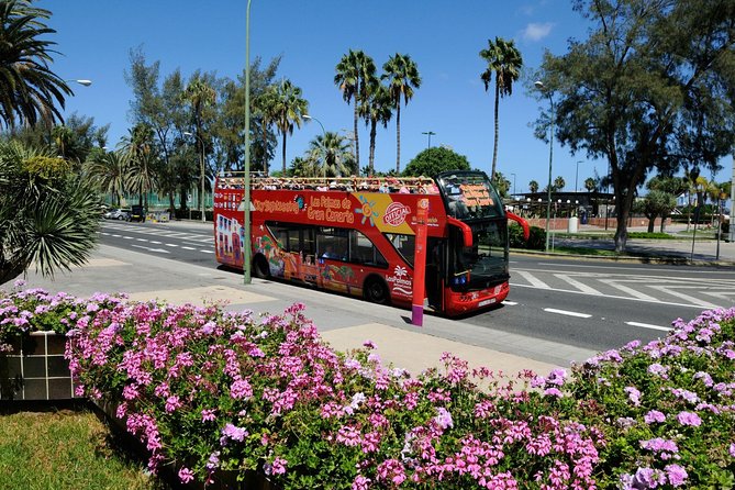 City Sightseeing Las Palmas de Gran Canaria Hop-On Hop-Off Bus Tour - How the 24-Hour Hop-On Hop-Off Works in Las Palmas