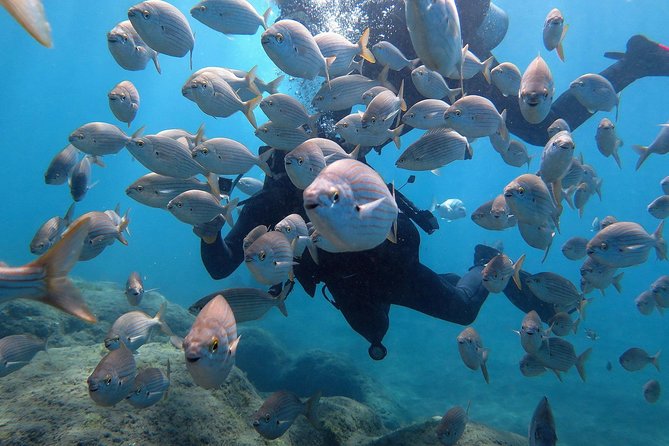 Discover Scuba Diving in Puerto de Mogan - Puerto de Mogán: the practical place to learn underwater basics