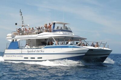 Dolphin and Whales watching cruise from Puerto Rico de Gran Canaria - Getting to the boat: pickup areas and the meeting point