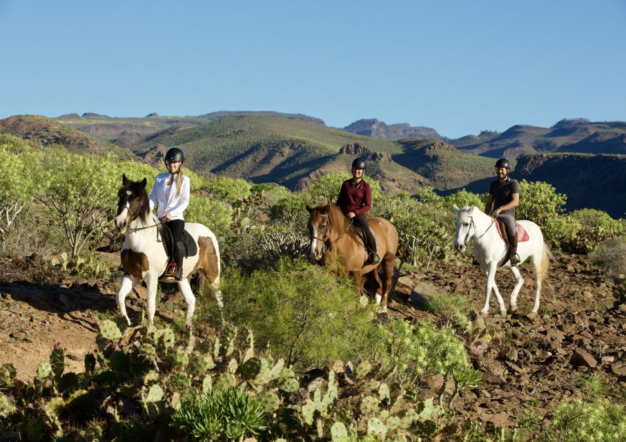 El Salobre: Horse Riding Adventure with Transfer Options - Key highlights worth your time