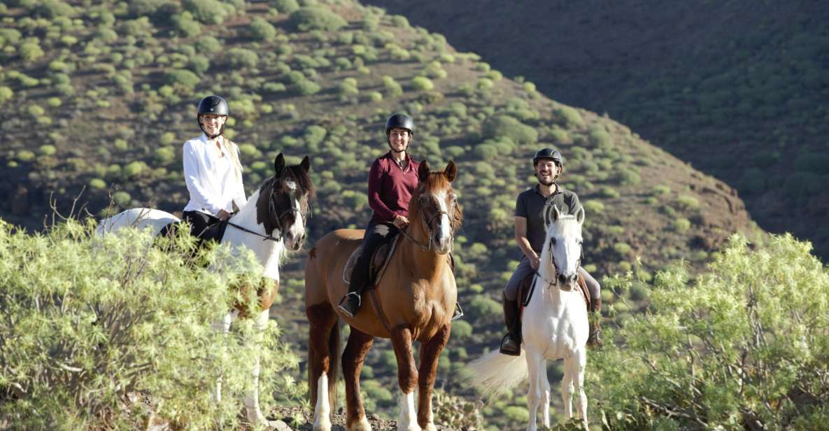 El Salobre: Horse Riding Adventure with Transfer Options - First time on a horse? Here’s why this one works