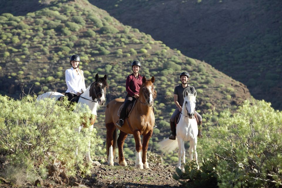 El Salobre: Horse Riding Adventure with Transfer Options - What happens at the ranch before you ride