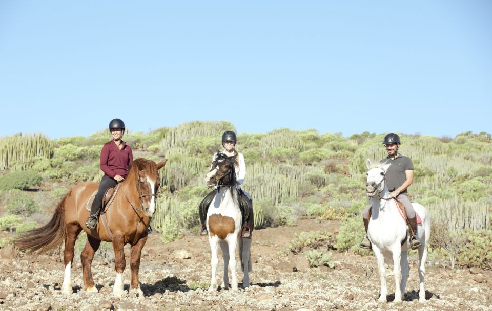 El Salobre: Horse Riding Adventure with Transfer Options - Transfers: when they’re worth it (and when they aren’t)