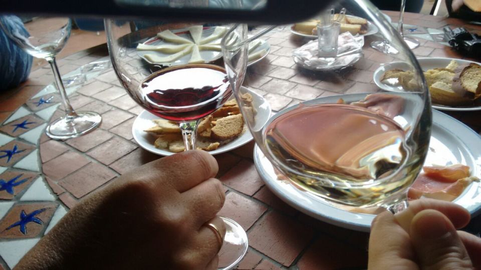 From Las Palmas: Full-Day Tour of the North - Pacing, comfort, and how to not lose your whole afternoon