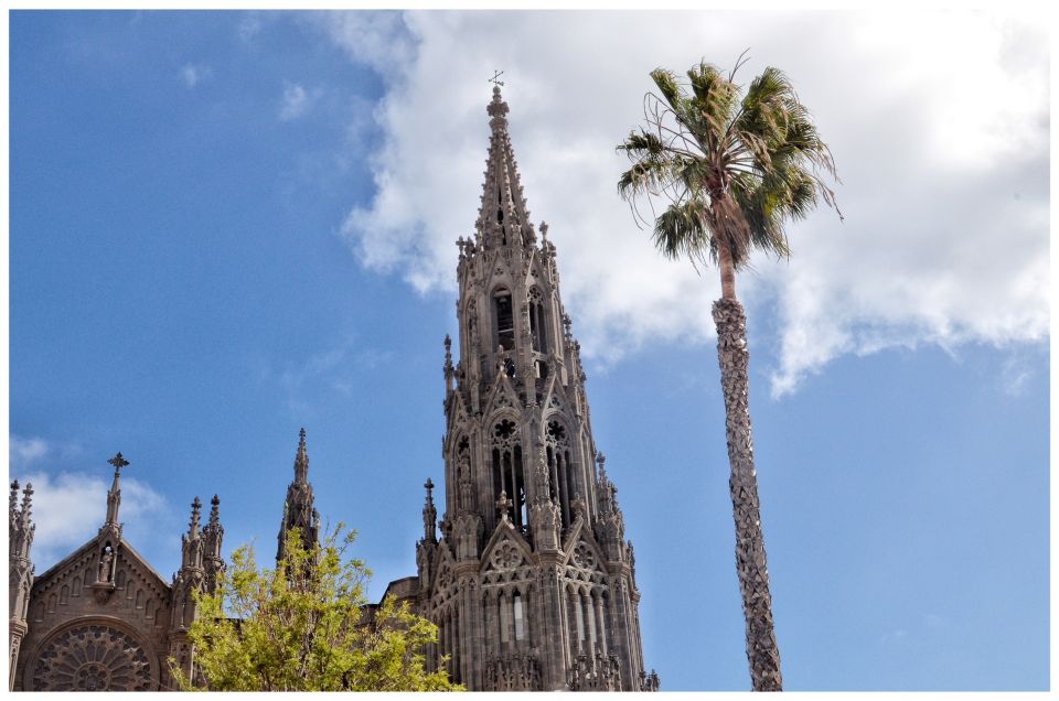 From Las Palmas: Full-Day Tour of the North - The bilingual guide makes or breaks this tour