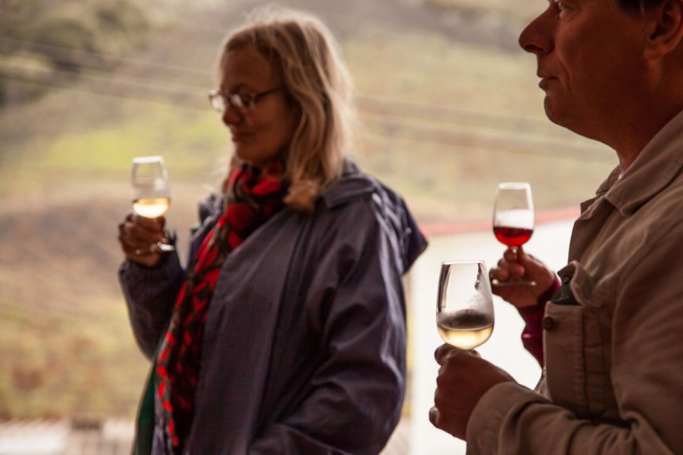 From Las Palmas: Full-Day Tour of the North - West-island vineyard: optional wine and cheese that can steal the show
