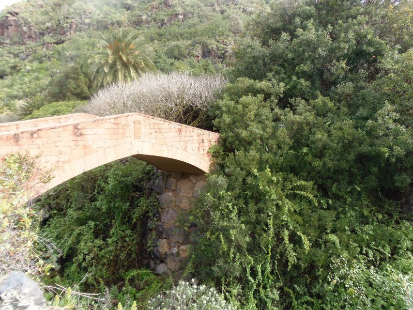 From Las Palmas: Full-Day Tour of the North - Puerto de las Nieves: sea views and the high-cliff wow factor