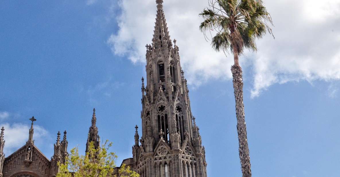 From Las Palmas: Full-Day Tour of the North - Price and logistics: what you’re really paying for