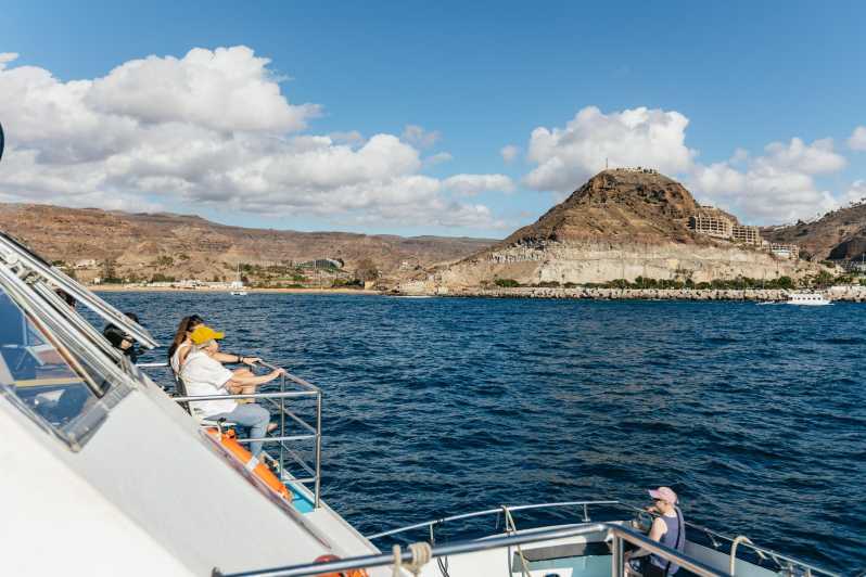 From Las Palmas: Highlights of Gran Canaria Day Tour - Key highlights worth planning around