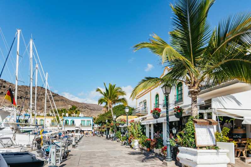 From Las Palmas: Highlights of Gran Canaria Day Tour - Pickup timing in Las Palmas: how to make the start stress-free