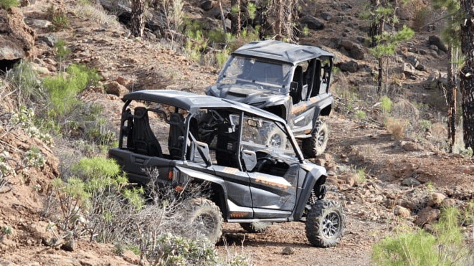 From Maspalomas: Volcanic Landscapes 4-Seater Buggy Tour - What You Drive: Yamaha Wolverine 4-Seaters and the Ride Comfort Story