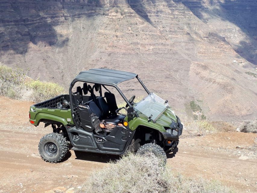 From Maspalomas: Volcanic Landscapes 4-Seater Buggy Tour - Volcanic Meets Tropical: What You’ll See During Trail Time