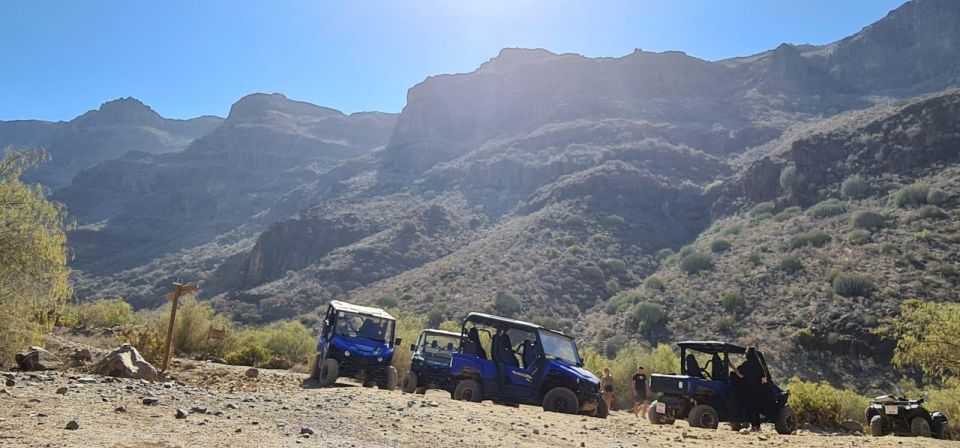 From Maspalomas: Volcanic Landscapes 4-Seater Buggy Tour - Price and Value: Is $177 Per Group Worth It?