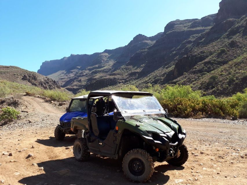 From Maspalomas: Volcanic Landscapes 4-Seater Buggy Tour - Should You Book This Maspalomas Buggy Tour?