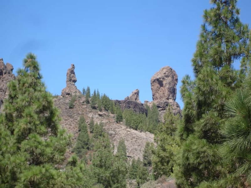 From Palmas: Pico de las Nieves & Roque Nublo Full-Day Trip - Pico de las Nieves (1,959 m): the highest viewpoint payoff