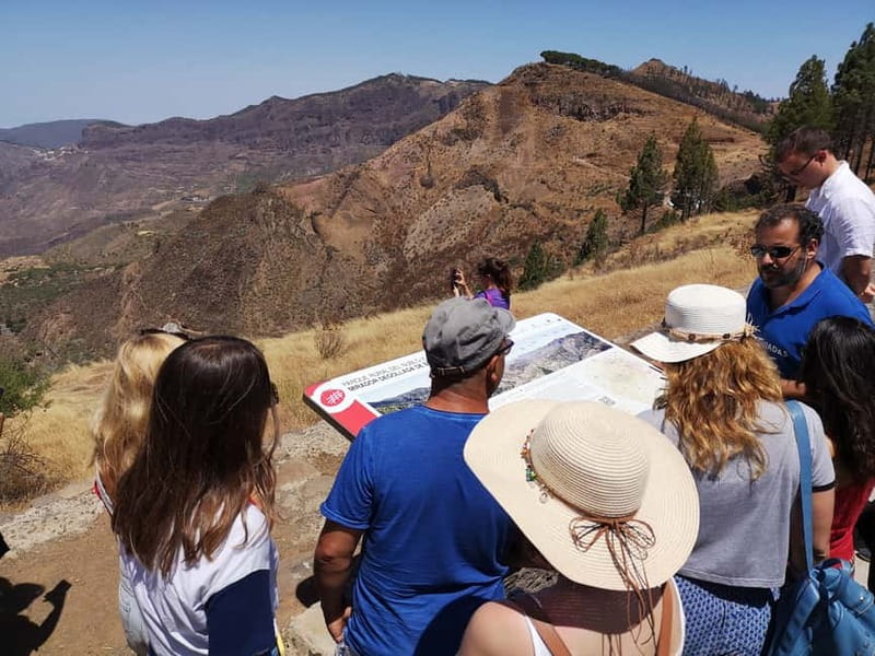 From Palmas: Pico de las Nieves & Roque Nublo Full-Day Trip - Guides and drivers: the difference between a trip and a mess
