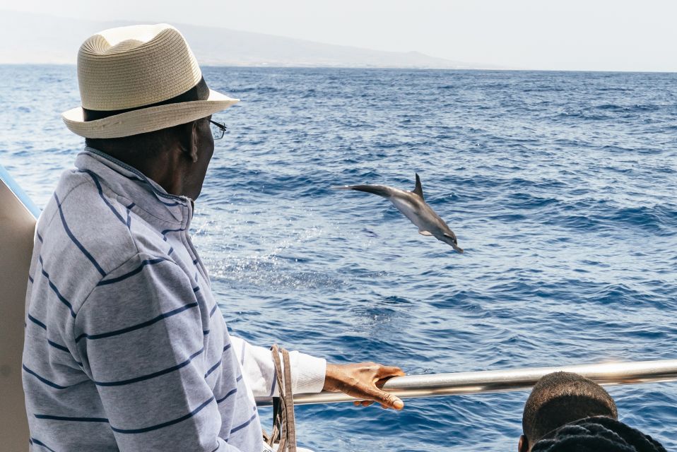 From Puerto Rico de Gran Canaria: Dolphin Watching Cruise - Seasickness prep: what to do before you regret it