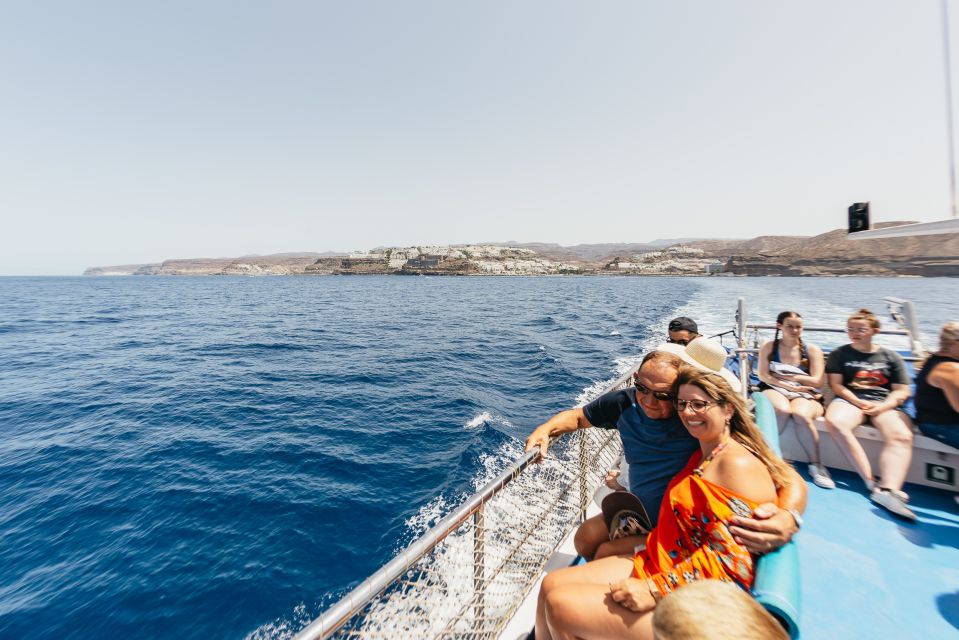 From Puerto Rico de Gran Canaria: Dolphin Watching Cruise - Return transfers: drop-off stops across the south