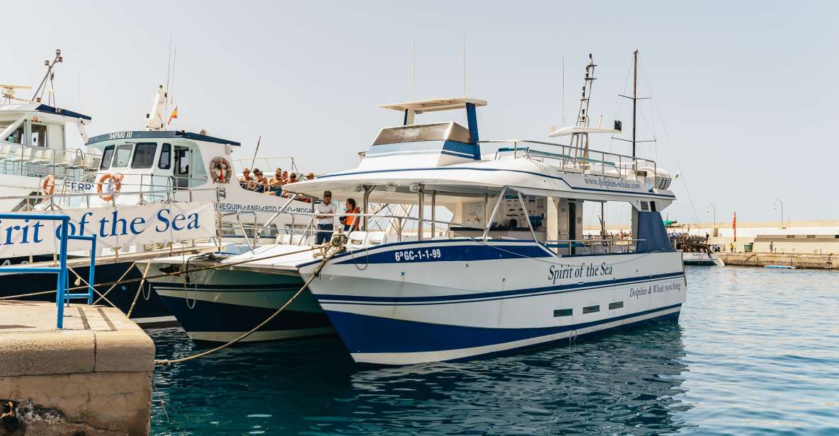 From Puerto Rico de Gran Canaria: Dolphin Watching Cruise - Getting to the port: the 50-minute bus ride matters