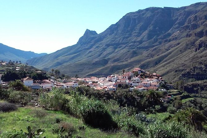Full Day Across the Island Tour from Las Palmas - Santa Brígida: green pockets, palm trees, and old-town coffee