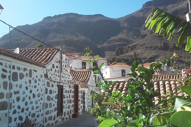 Full Day Across the Island Tour from Las Palmas - Pico de las Nieves: the highest point and the Roques you came to see