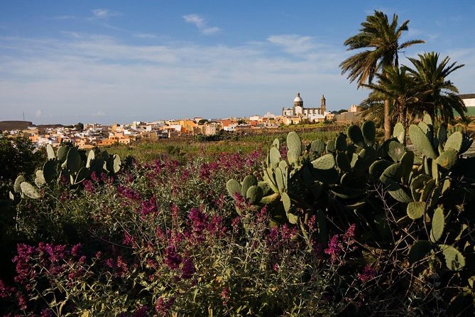 Full-Day Gran Canaria Island Tour - Cumbres - The big icons: Cruz de Tejeda and Roque Nublo photo stops