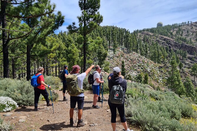 Full day Hiking Gran Canaria Peaks of Gran Canaria - Key things to know before you go