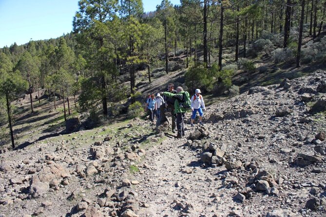 Full day Hiking Gran Canaria Peaks of Gran Canaria - What Maciej’s guiding style adds (and why it feels worth it)