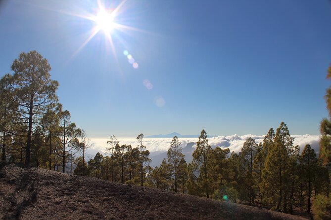 Full day Hiking Gran Canaria Peaks of Gran Canaria - Value check: is $84.66 a smart use of your time?