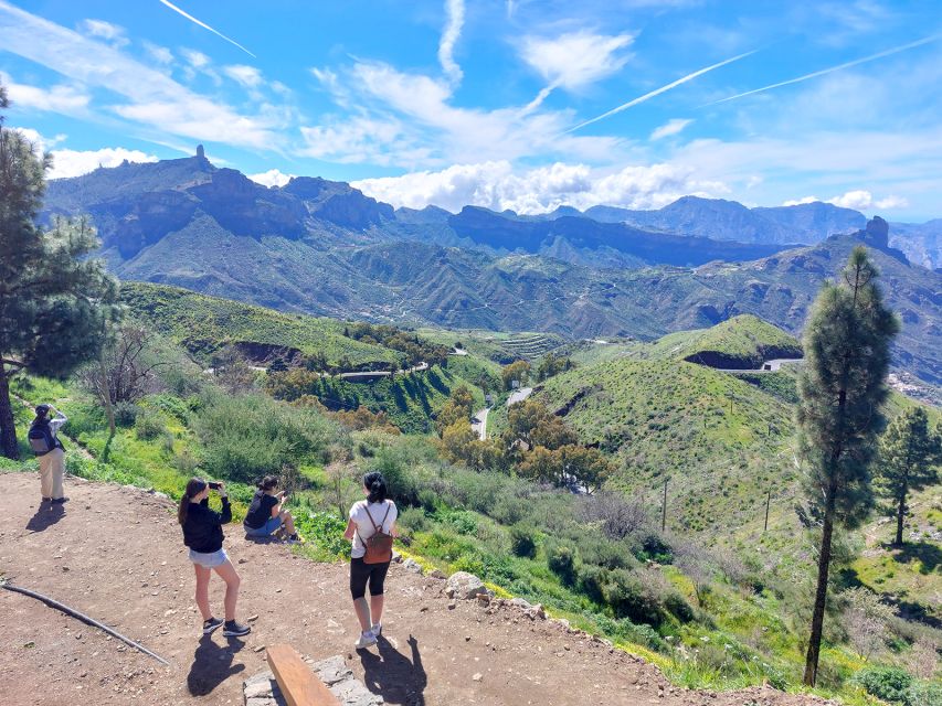 Gran Canaria 7 Highlights Small Group Tour with Tapas Picnic - Pine-forest tapas picnic: the included meal that actually feels special